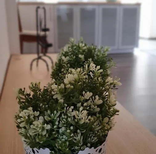 Casa Da Gente By Pontanegraazores Vakantiehuis *